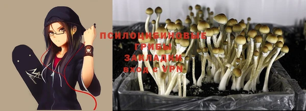 круглые Кукмор