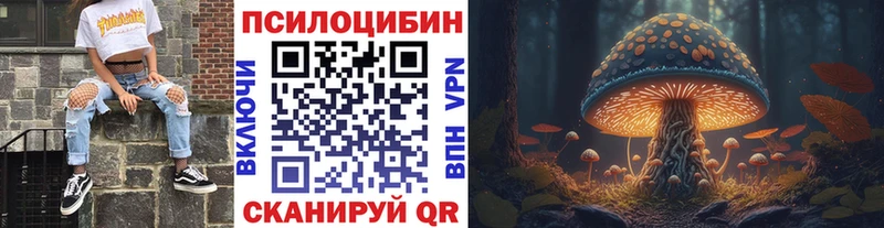 Галлюциногенные грибы Psilocybe Можга