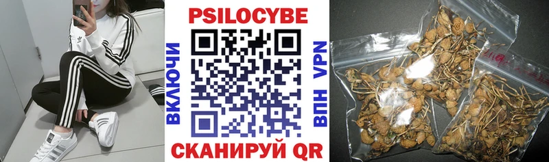 Купить закладки  Можга  Псилоцибиновые грибы ЛСД 